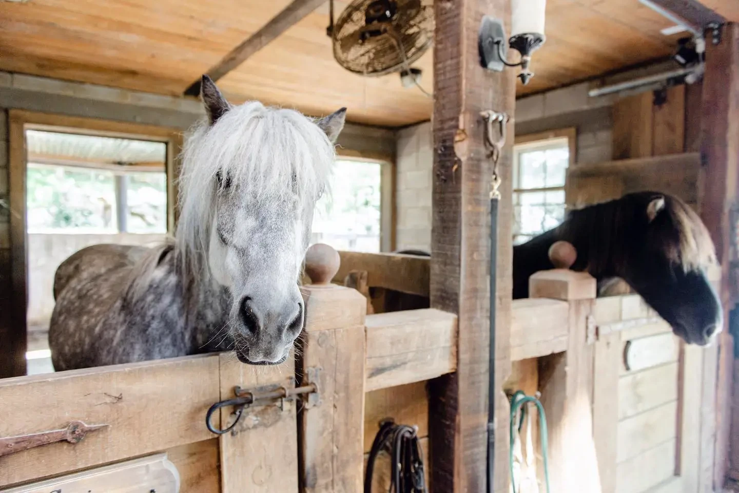 Equestrian Suite Image #9