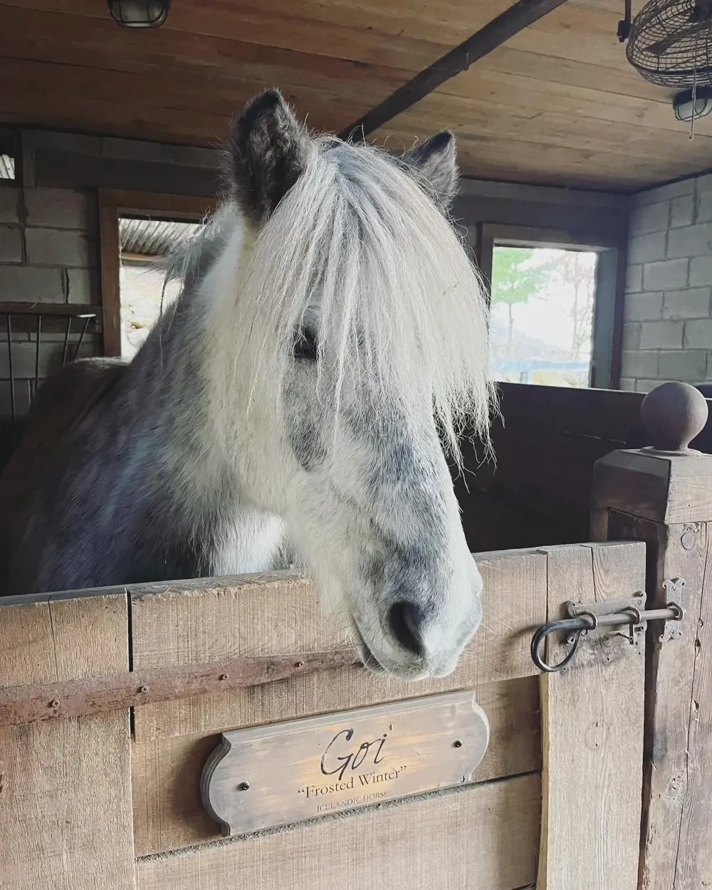Equestrian Suite Image #19